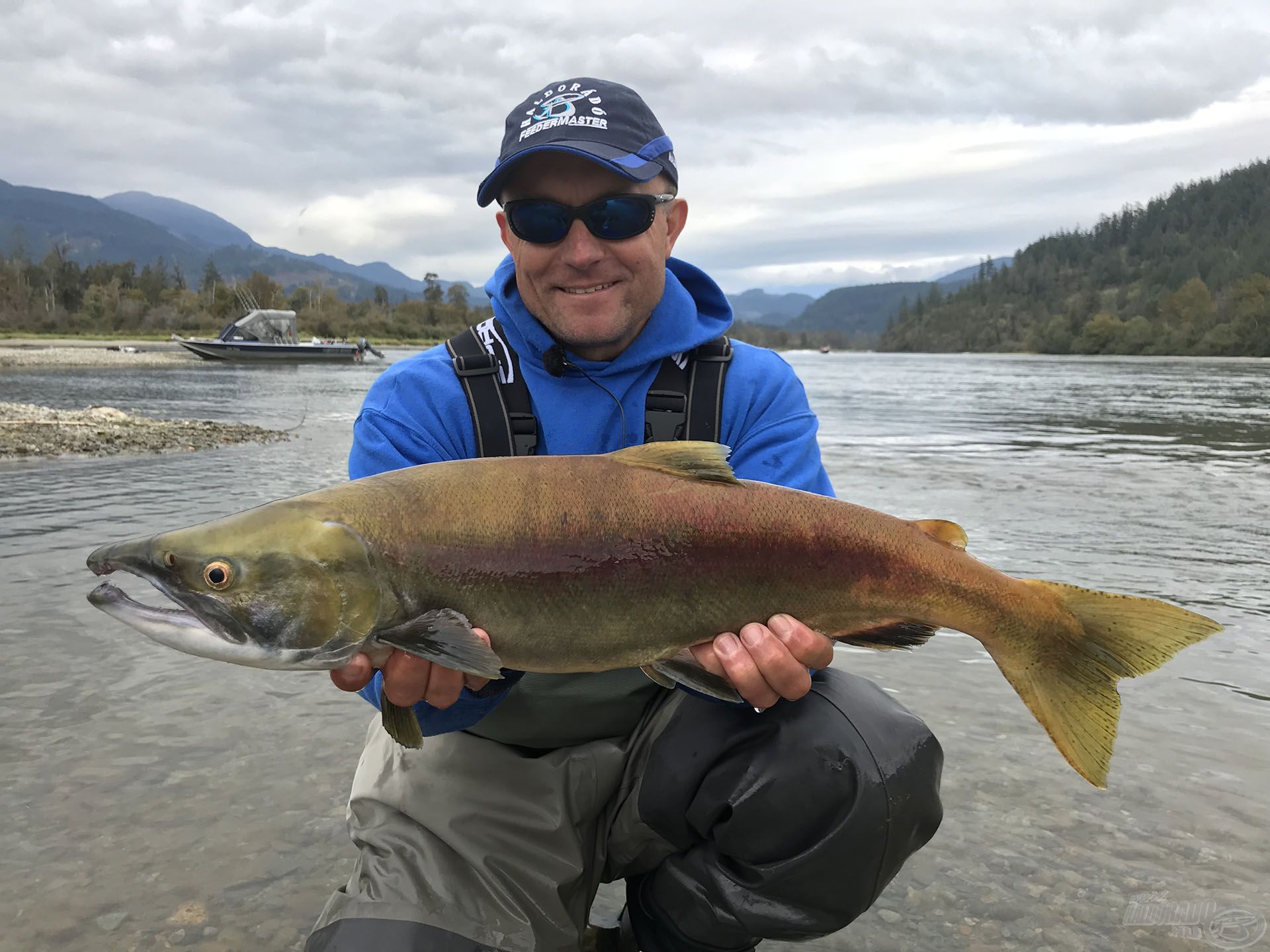 Egy újabb lazacfaj iratkozott fel a fogási lapra: sockeye lazac