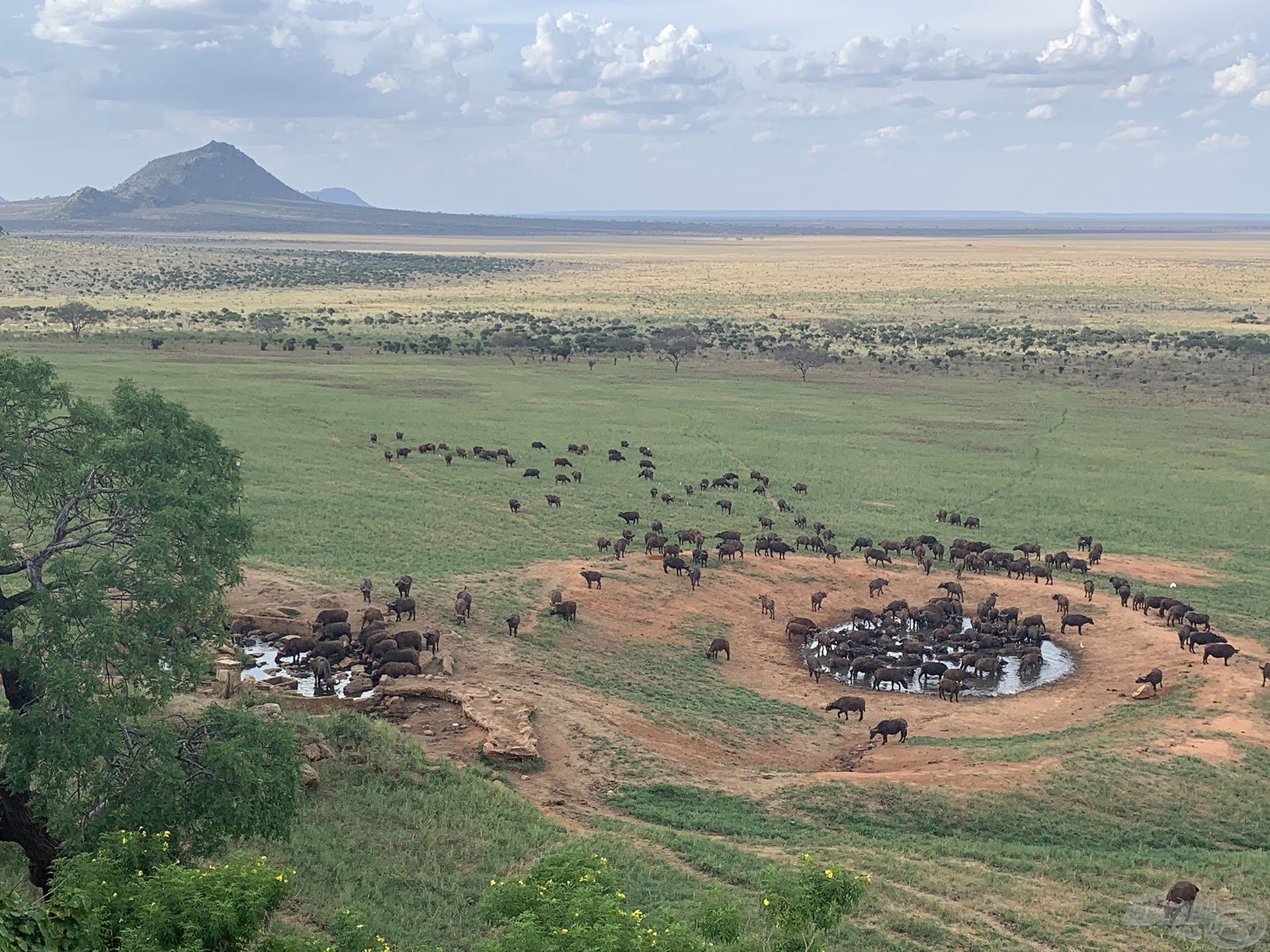 Talán elsőként Kenyáról az afrikai vadvilág jut az eszünkbe…