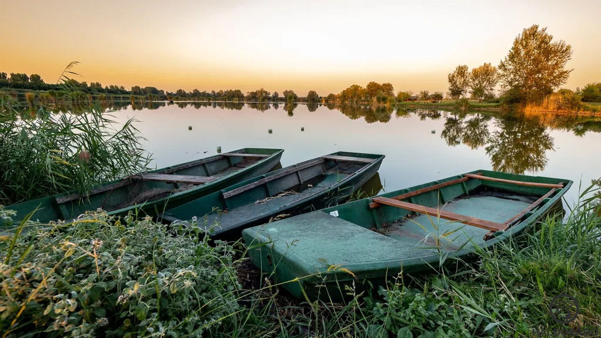 Valentin-napi pontyok