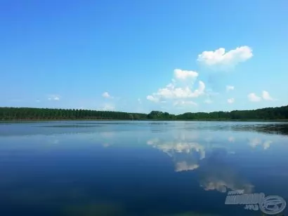 Vénasszonyok nyarai pontyozás Rinyaszentkirályon