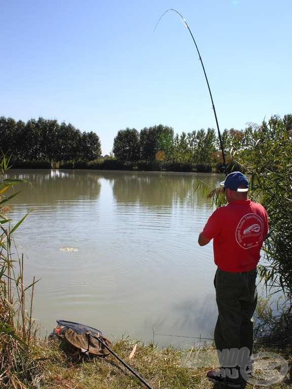 Patkó Tomi (Szőke Tisza HE I.) ismét munkában