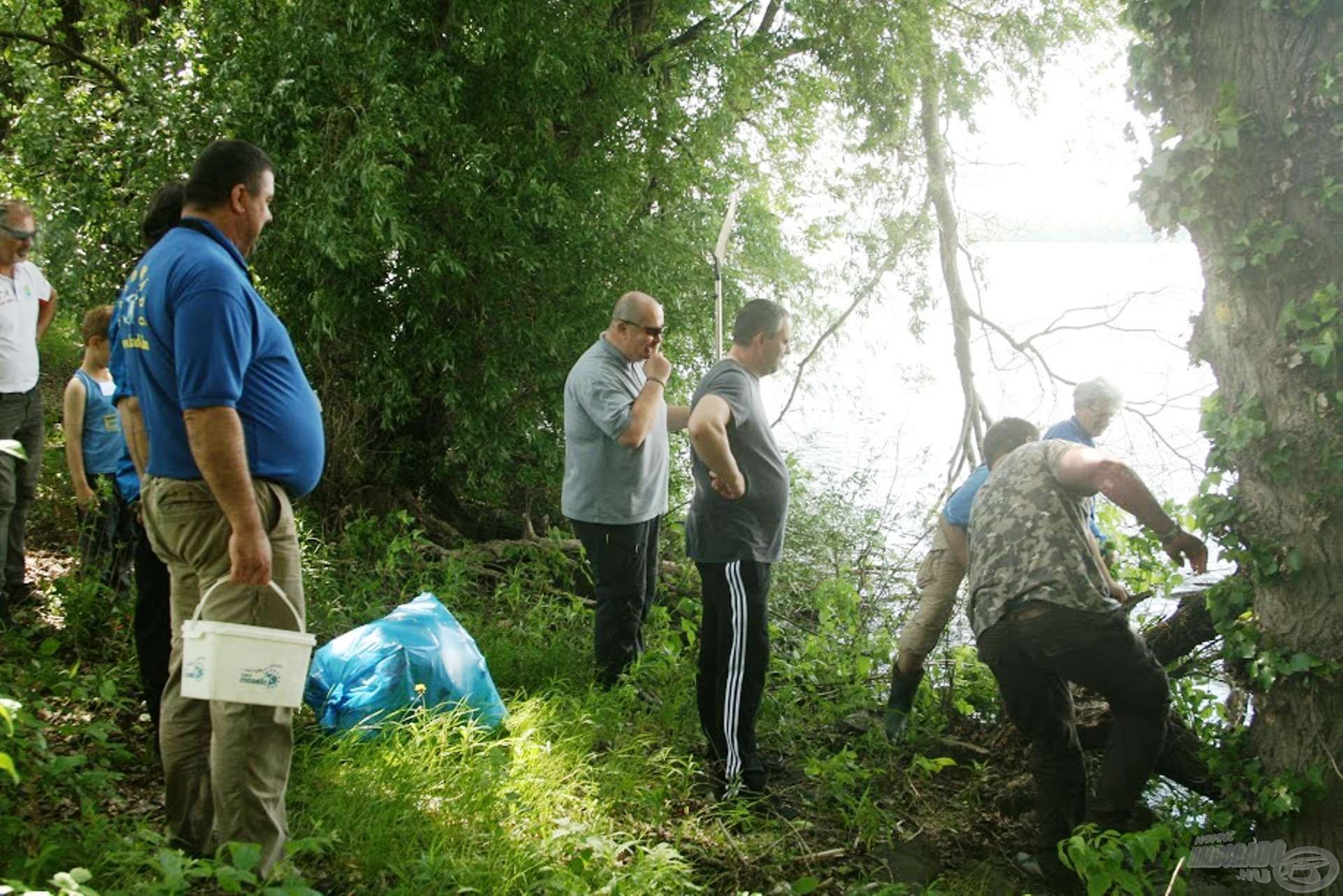 Mindenki dolgozik, Nagy-I ismét gondolkodik