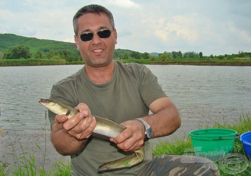 Jankovich István tovább növelte a nem gyakran fogott halak listáját. Kezében egy szép angolna