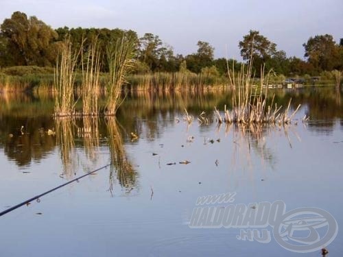 A tóra jellemző kis árkok egyike: A még álló nádszálak és a botspicc között, kis fantáziával kivehető a csatorna innenső oldalán hajdan nőtt nádsor torzsás maradéka ill. az errefelé eső sekélyest korábban benőtt vízinövényzet hírmondója.