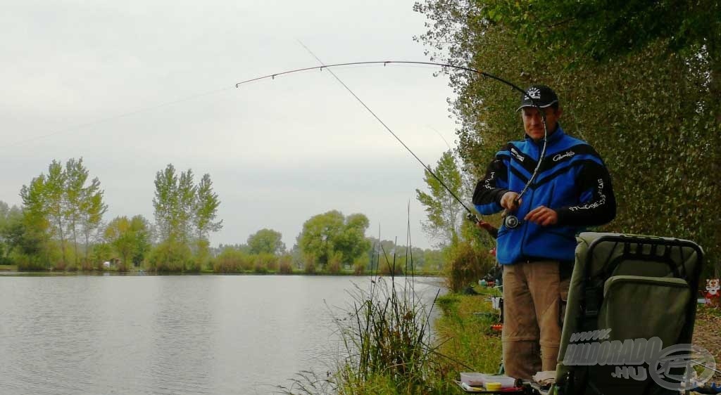 Döme Gábor kiválóan szelektálta a testesebb pontyokat…