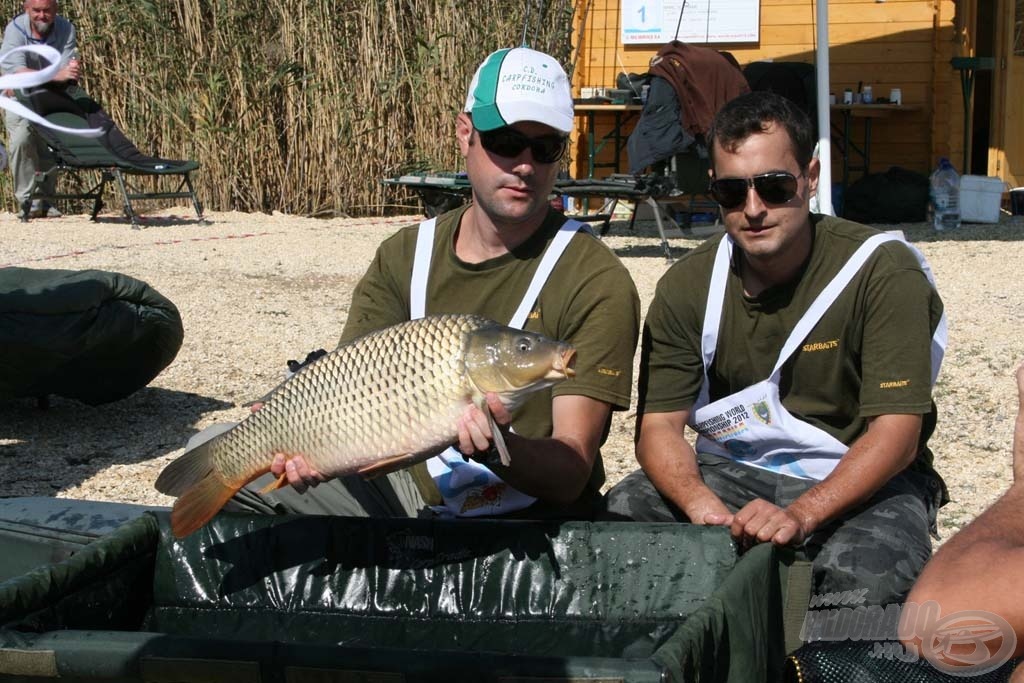 A franciák hiába fogták a méretes pontyokat, mi legyőztük őket