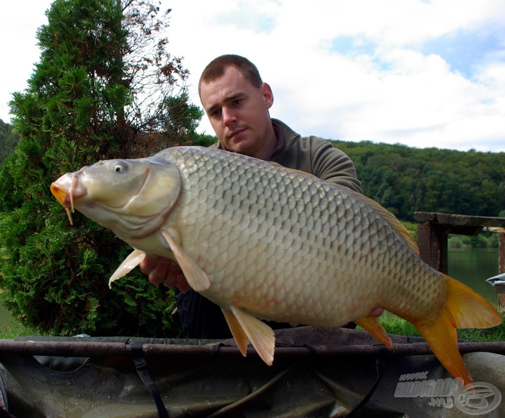 …és egy töves (9,70 kg)