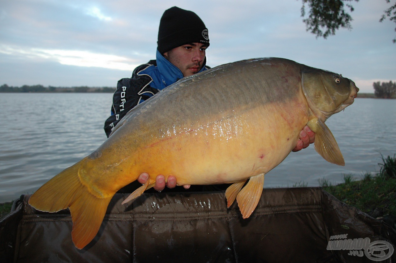 Egy 10,5 kg-os szép tükrös