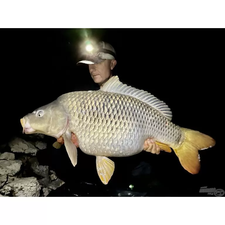 BLACK EDITION BC 360 3 Lbs univerzális nagypontyos horgászbot + Dobókesztyű ujj / 11