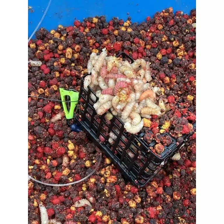 By Döme EXTREME 500 River Kaiwo Feeder 300EXH - brutál erős és rugalmas TOP folyóvízi feederbot / 17