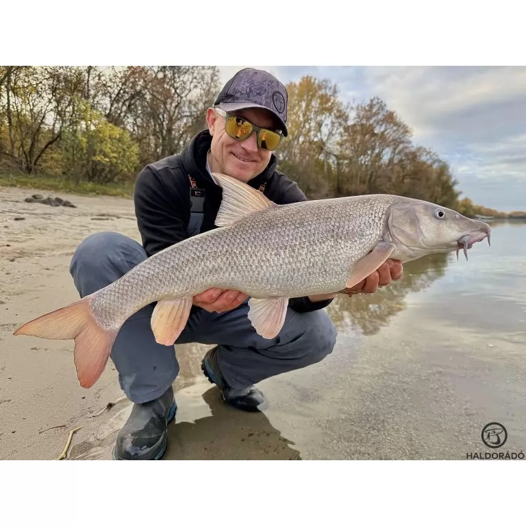 By Döme EXTREME 500 River Kaiwo Feeder 395EXH - brutál erős és rugalmas TOP folyóvízi feederbot / 20