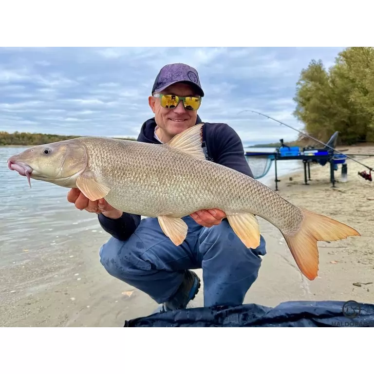 By Döme EXTREME 500 River Kaiwo Feeder 395EXH - brutál erős és rugalmas TOP folyóvízi feederbot / 25