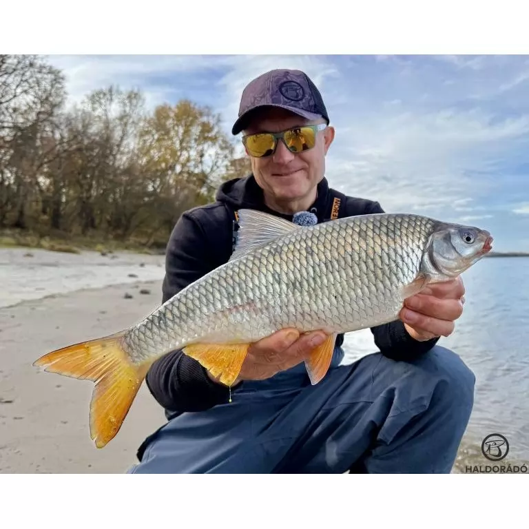 By Döme EXTREME 500 River Kaiwo Feeder 395EXH - brutál erős és rugalmas TOP folyóvízi feederbot / 30