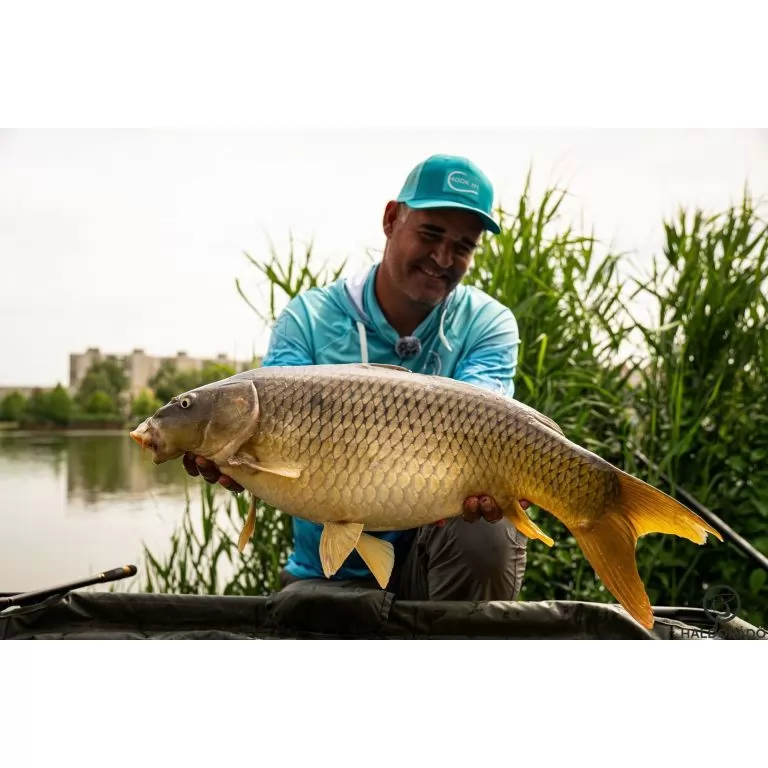 By Döme Kaiwo Gold Method Feeder 330L horgászbot / 20