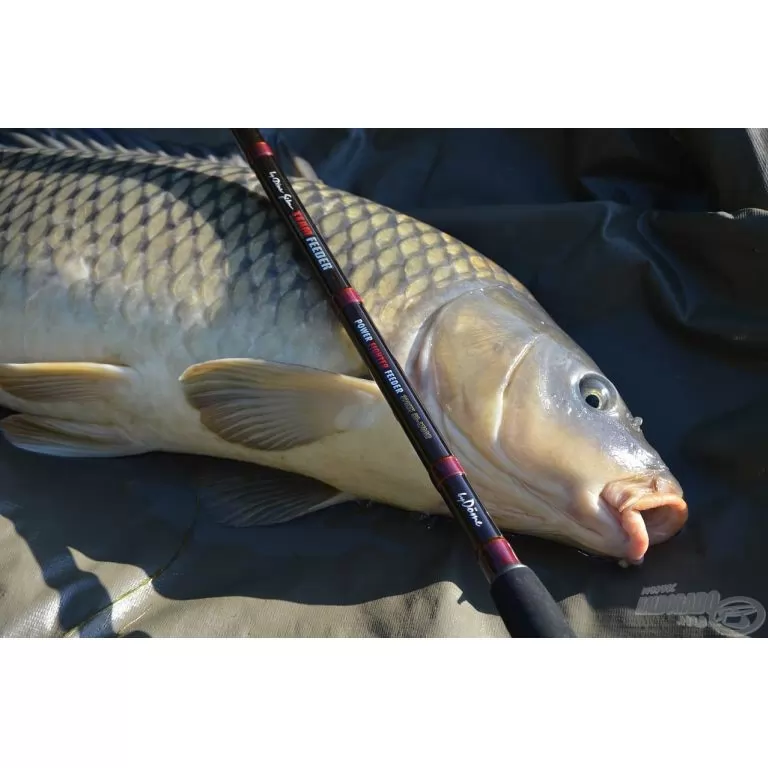 By Döme TEAM FEEDER Power Fighter River Feeder 390XXH horgászbot + Dobókesztyű ujj / 13