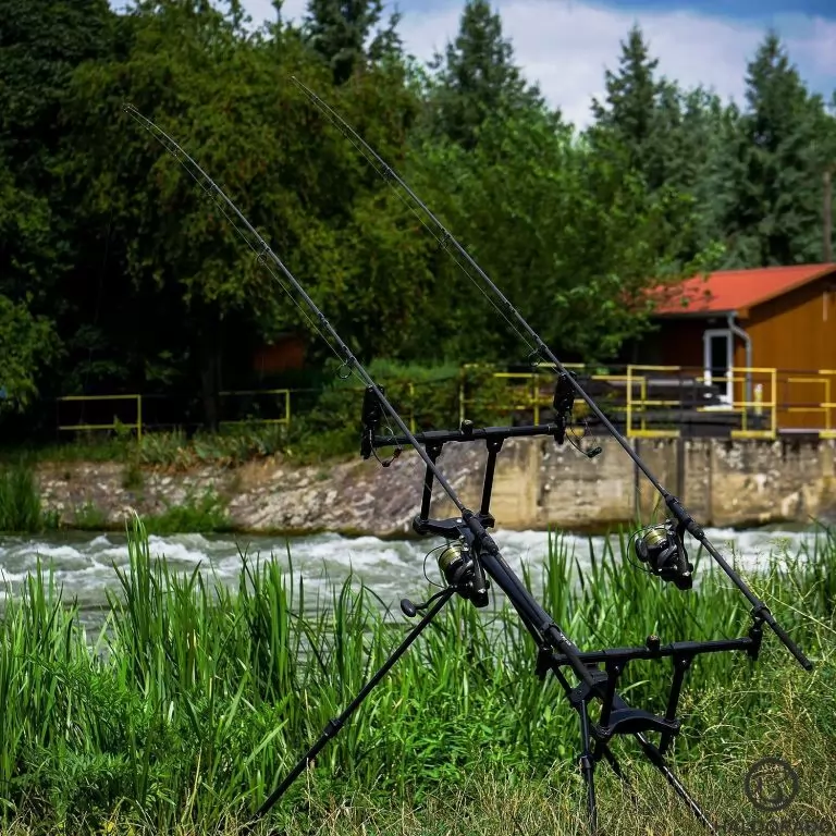 CARP ACADEMY Elit Rod Pod / 10