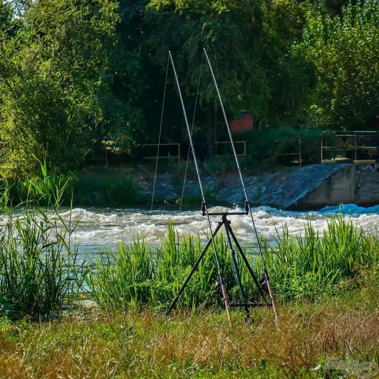 CARP ACADEMY River Rod Pod / 8