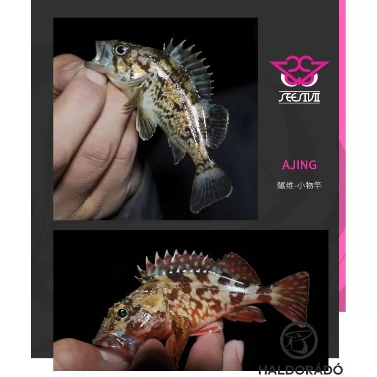 ECOODA Seesivii Ajing 198L Spinning JIG-es kősüllős horgászbot / 7