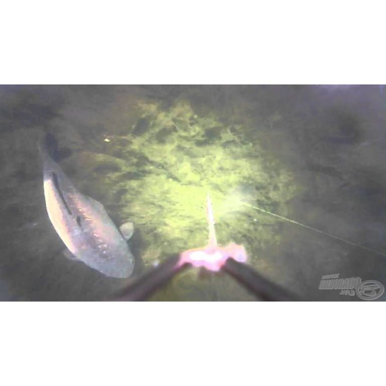 FISHSPY Víz alatti kamera élőképpel