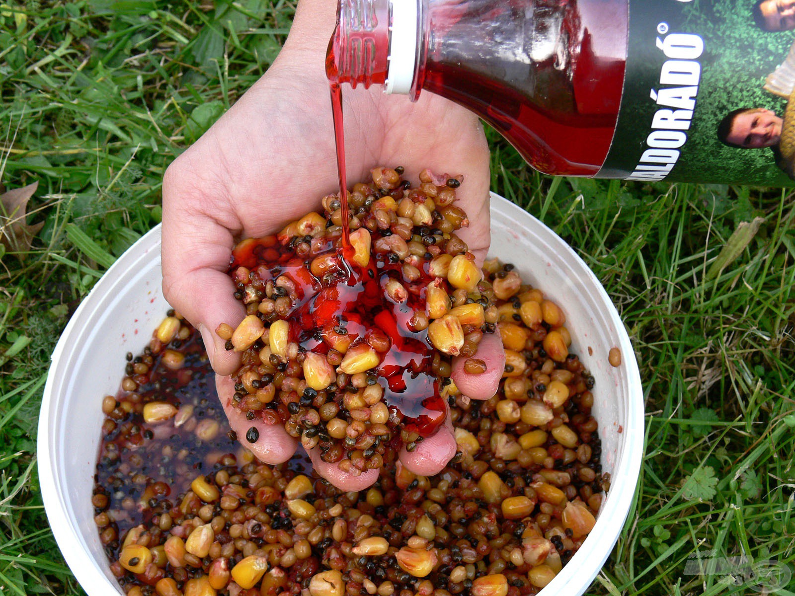 Carp Syrup - Fekete Tintahal