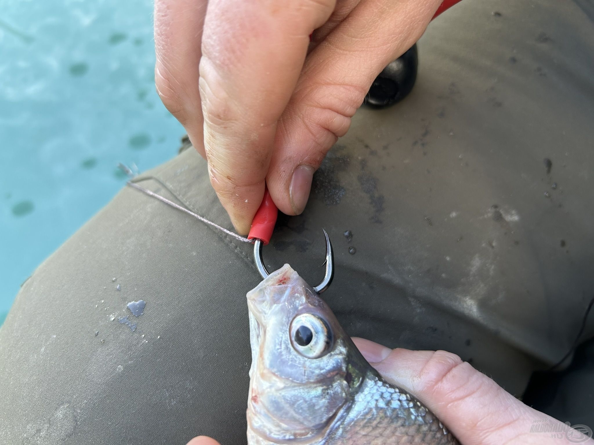 HALDORÁDÓ Catfish Rig 7 Fireball szerelék 200 g Haldorádó