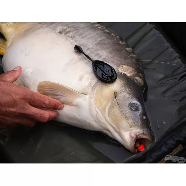 HALDORÁDÓ Dart L 50 g HALDORÁDÓ Dart L 50 g