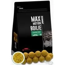 HALDORÁDÓ MAX MOTION Boilie Premium Soluble 24 mm - Champion Corn