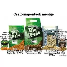 HALDORÁDÓ Nyári recept 3 - Csatornapontyok menüje