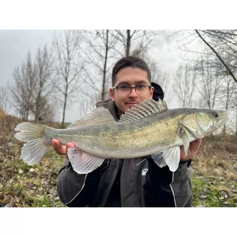 HALDORÁDÓ Predator Jig PRO 1/0 - 10 g / 5