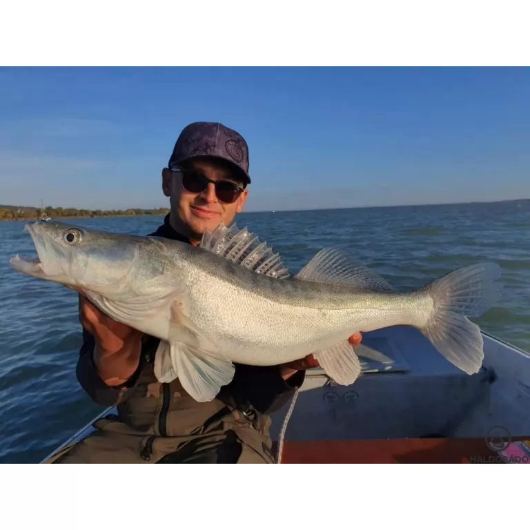 HALDORÁDÓ Predator Jig PRO 1/0 - 6 g / 6