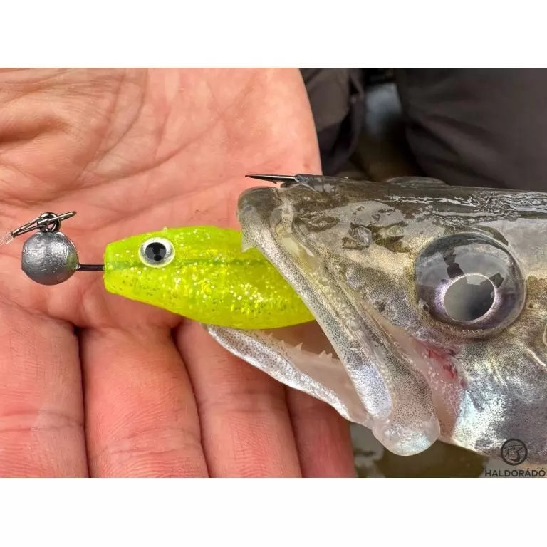 HALDORÁDÓ Predator Jig PRO 2/0 - 4 g / 4