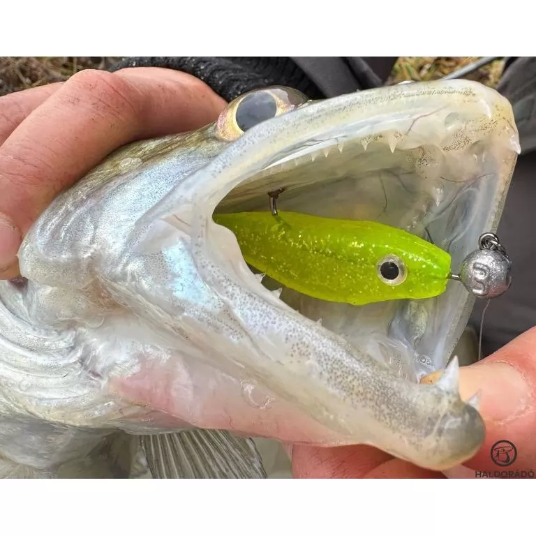 HALDORÁDÓ Predator Jig PRO 3/0 - 10 g / 3