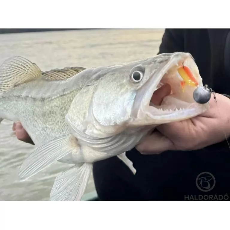 HALDORÁDÓ Predator Jig PRO 3/0 - 20 g / 2