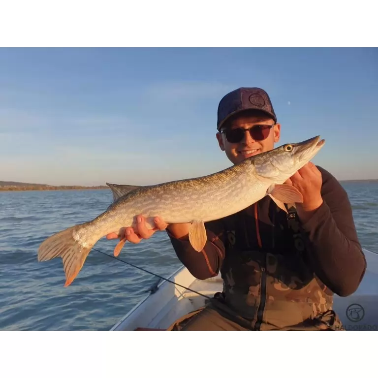 HALDORÁDÓ Predator Jig PRO 6/0 - 12 g / 4