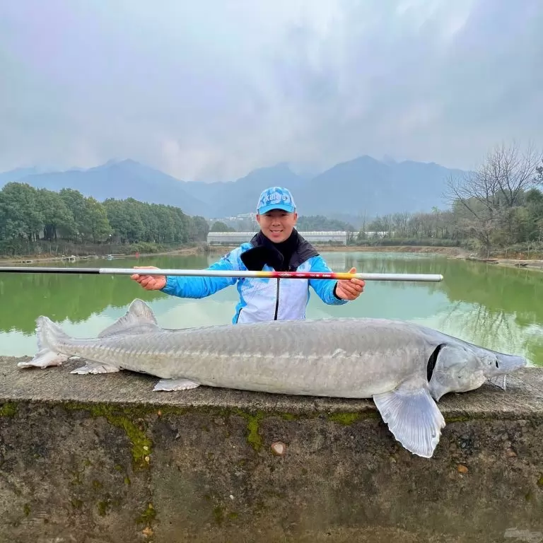 KAIWO Kardos Harci Ponty 6,3 m - extra erős spiccbot maximum 45 kg-os halakig / 14