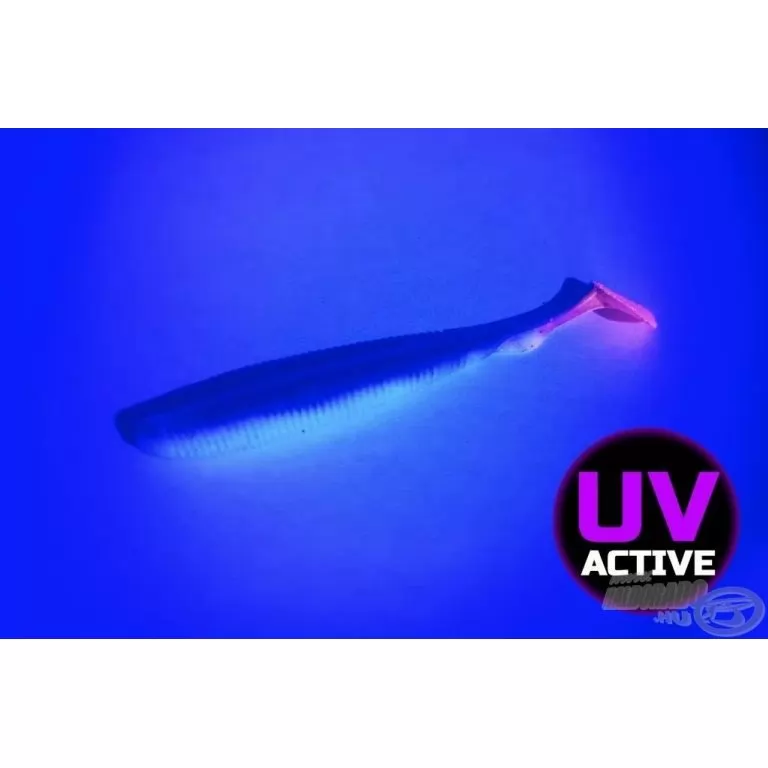 MOLIX RA SHAD 9,6 cm - UV Tournament Roach Glow / 2