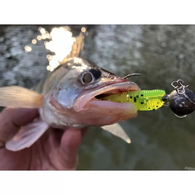 NEVIS Impulse Shad 6,3 cm - Fehér / 4
