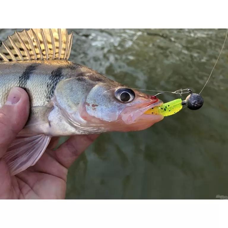 NEVIS Impulse Shad 7,5 cm - Fehér