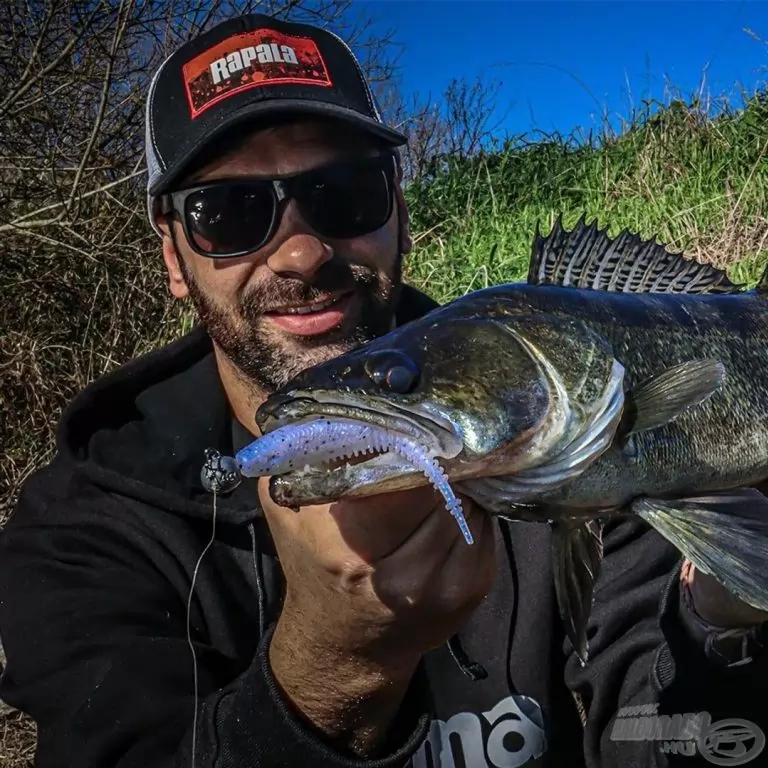 Rapala Crushcity Freeloader 10,6 cm - APL / 4
