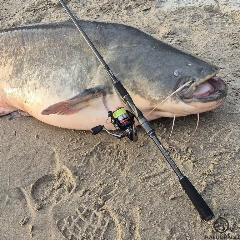 REIVA Excape Spinning 235MH / 10