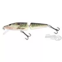 SALMO Pike PE13JF RPE