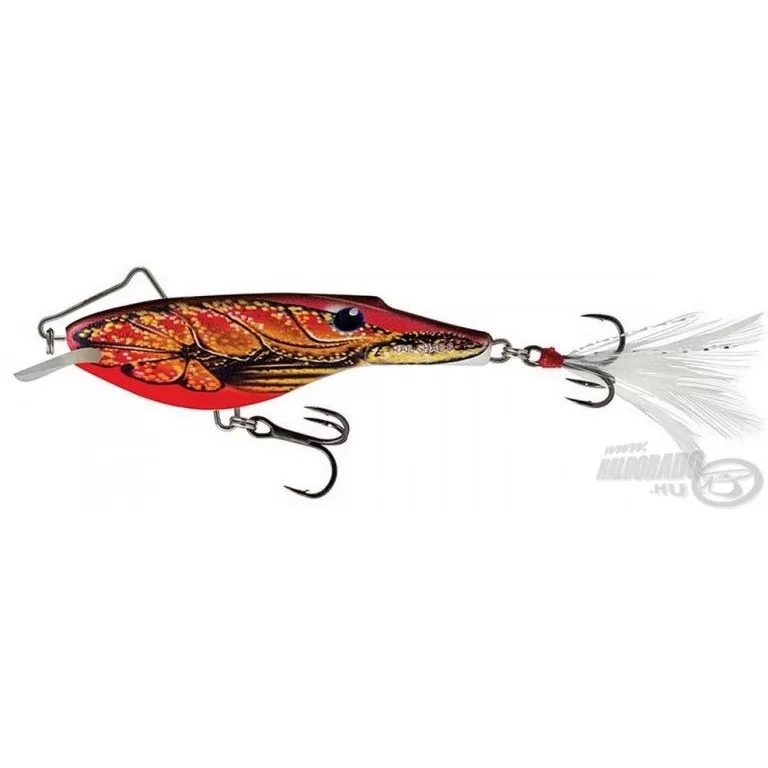 SALMO Rail Shad RBFCR / 1