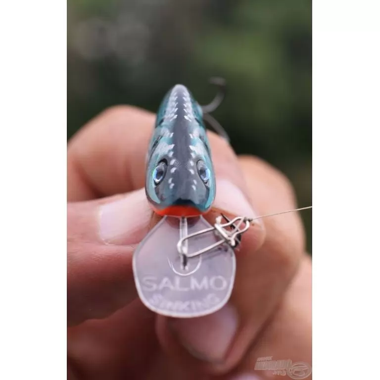 SALMO Sparky Shad SS4S SHS SALMO Sparky Shad SS4S SHS