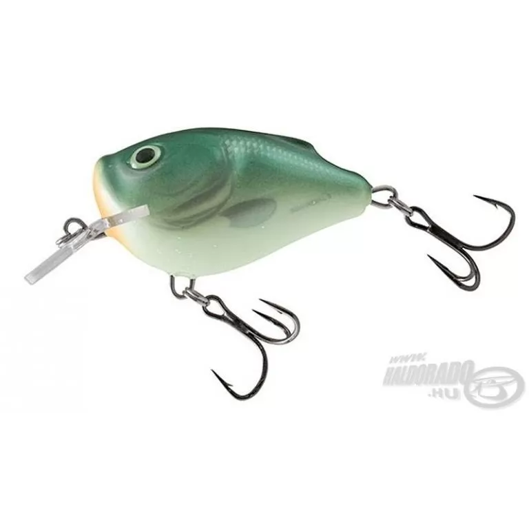 SALMO Squarebill SQ6F GBH / 1