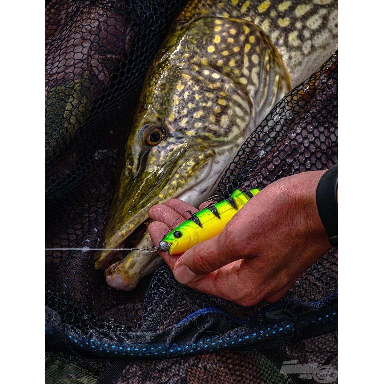 SAVAGE GEAR Cannibal Shad 15 cm - Perch 1 db