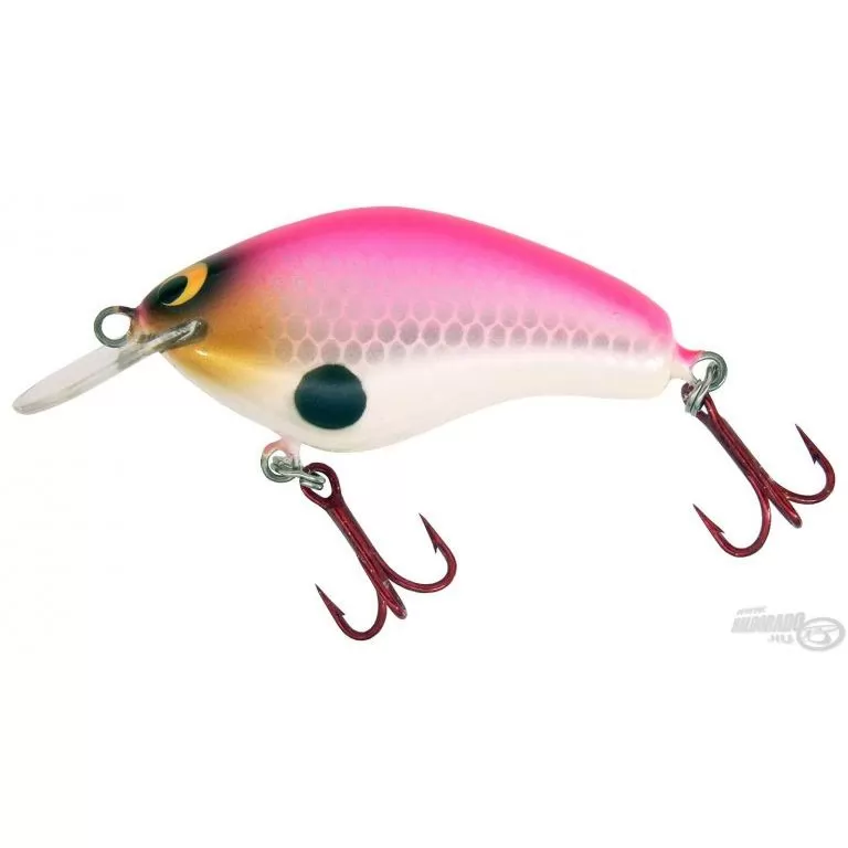 ZANDER TIME DuelCat Shallow 6,8 cm - Pink Martini / 1