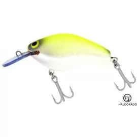 ZANDER TIME DuelCat Shallow 6,8 cm - SFC