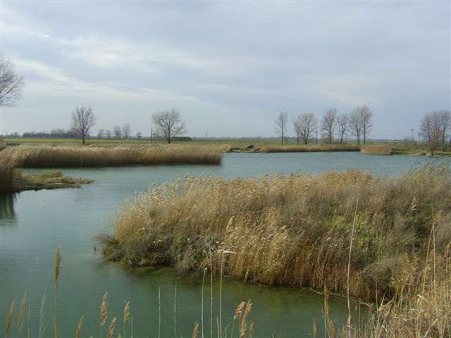 Borsosgyőr Borsosgyőr