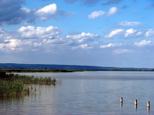 Fertő tó, Fertőrákosi-öböl