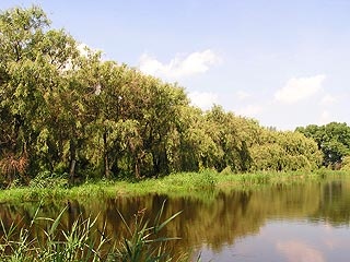 Merseváti-tó